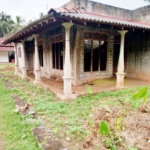 WhatsApp Image 2021 05 11 at 2.09.56 AM