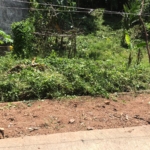 WhatsApp Image 2021 05 12 at 1.45.53 PM