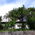 WhatsApp Image 2021 05 19 at 11.40.16