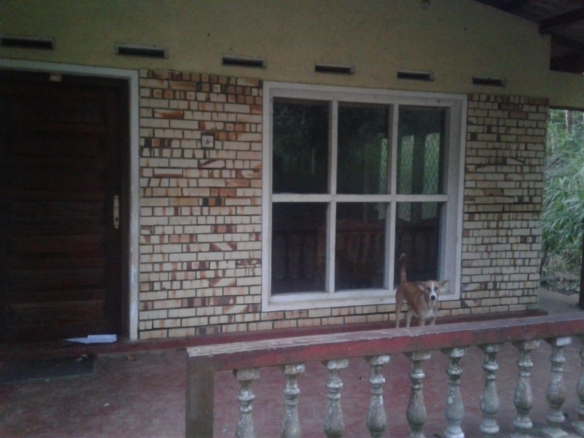 WhatsApp Image 2021 05 20 at 10.03.52 AM