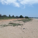 WhatsApp Image 2021 05 20 at 13.28.53