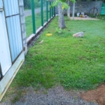 WhatsApp Image 2021 05 20 at 3.34.49 PM