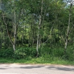 WhatsApp Image 2021 05 21 at 10.07.57 AM