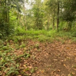 WhatsApp Image 2021 05 28 at 11.55.53 AM