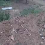 WhatsApp Image 2021 05 31 at 10.49.55 AM 1