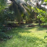 WhatsApp Image 2021 06 02 at 9.17.36 AM