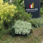 WhatsApp Image 2021 06 11 at 2.51.10 PM