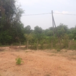 WhatsApp Image 2021 06 25 at 2.09.41 PM