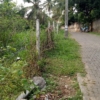 WhatsApp Image 2021 06 27 at 12.58.48 PM