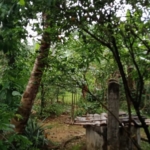 WhatsApp Image 2021 06 27 at 3.08.49 PM