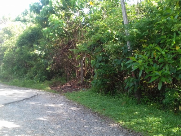 WhatsApp Image 2021 06 30 at 12.17.36 PM 2 WhatsApp Image 2021 06 30 at 12.17.36 PM 2