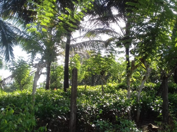 WhatsApp Image 2021 06 30 at 12.17.37 PM 1 WhatsApp Image 2021 06 30 at 12.17.37 PM 1