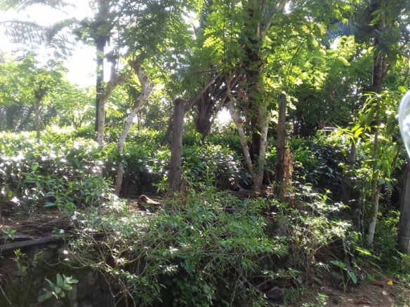 WhatsApp Image 2021 06 30 at 12.17.39 PM 1 WhatsApp Image 2021 06 30 at 12.17.39 PM 1