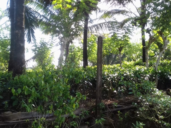 WhatsApp Image 2021 06 30 at 12.17.40 PM 1 WhatsApp Image 2021 06 30 at 12.17.40 PM 1