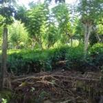 WhatsApp Image 2021 06 30 at 12.17.42 PM