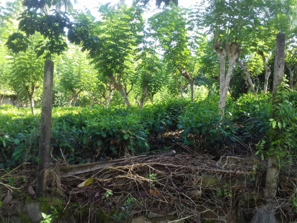 WhatsApp Image 2021 06 30 at 12.17.42 PM WhatsApp Image 2021 06 30 at 12.17.42 PM