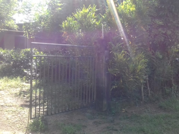 WhatsApp Image 2021 06 30 at 12.17.43 PM WhatsApp Image 2021 06 30 at 12.17.43 PM