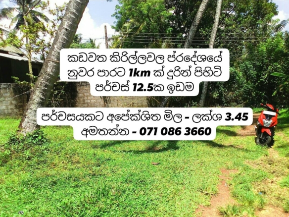 WhatsApp Image 2021 07 08 at 9.01.54 AM