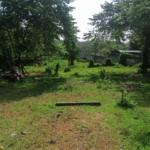 WhatsApp Image 2021 07 09 at 12.26.29 PM