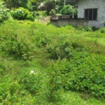 WhatsApp Image 2021 07 10 at 12.45.29 PM 1