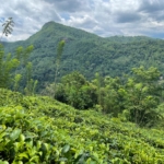 WhatsApp Image 2021 07 16 at 11.46.39 AM