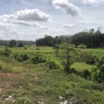 WhatsApp Image 2021 07 19 at 12.38.27 PM