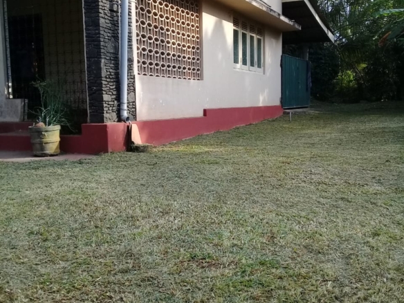 WhatsApp Image 2021 08 03 at 4.54.06 PM 1