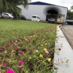 WhatsApp Image 2021 08 05 at 12.06.01 PM