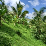 WhatsApp Image 2021 08 14 at 10.37.38 AM