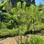 WhatsApp Image 2021 08 19 at 12.30.43 PM