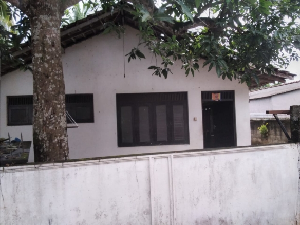 WhatsApp Image 2021 09 02 at 10.06.56 AM