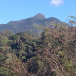 WhatsApp Image 2022 04 26 at 14.36.50 1