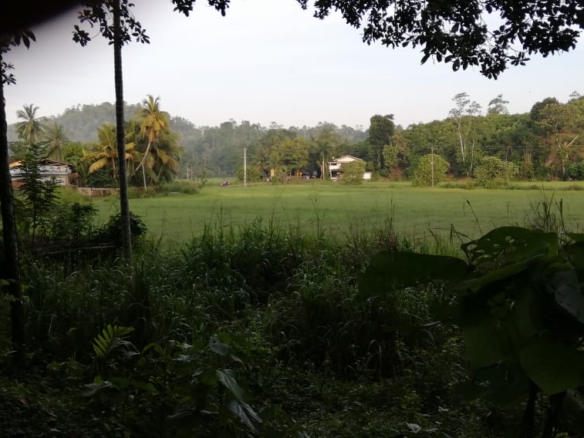 WhatsApp Image 2022 04 27 at 10.11.53 AM 2
