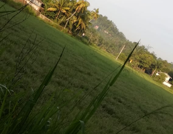 WhatsApp Image 2022 04 27 at 10.11.54 AM 1