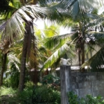 WhatsApp Image 2022 04 27 at 11.07.14 AM