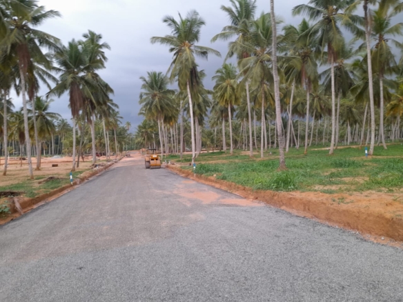 WhatsApp Image 2022 04 27 at 9.24.11 AM