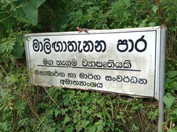 WhatsApp Image 2022 04 28 at 10.43.53