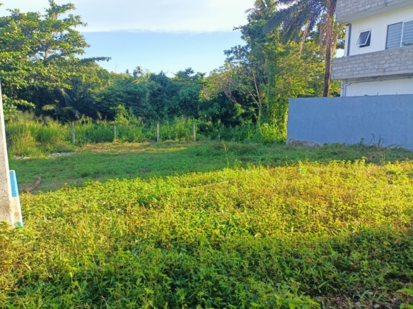 WhatsApp Image 2022 04 30 at 11.41.43