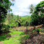 WhatsApp Image 2022 05 04 at 20.06.59 1