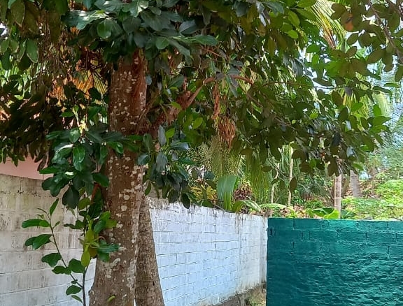 WhatsApp Image 2022 05 04 at 4.04.52 PM 1