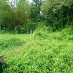 WhatsApp Image 2022 05 05 at 10.26.43