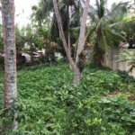 WhatsApp Image 2022 05 06 at 1.48.28 PM