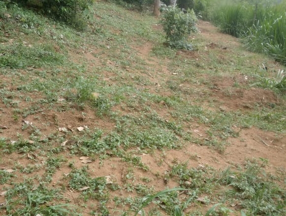 WhatsApp Image 2022 05 07 at 12.11.40 PM 5