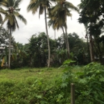 WhatsApp Image 2022 05 09 at 1.25.49 PM