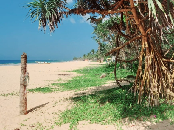 WhatsApp Image 2022 05 10 at 12.32.13 PM