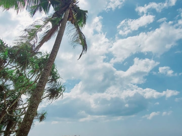 WhatsApp Image 2022 05 10 at 12.32.14 PM