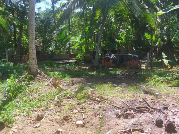 WhatsApp Image 2022 05 10 at 12.32.18 PM