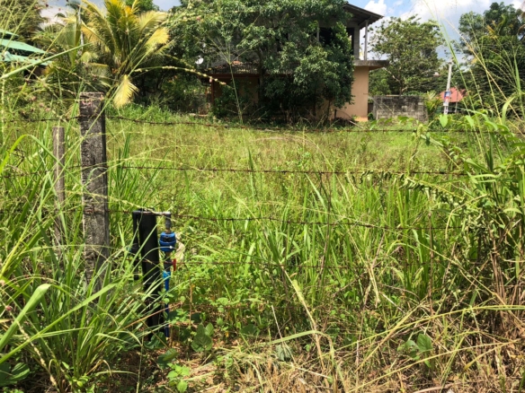 WhatsApp Image 2022 05 14 at 10.05.51 AM