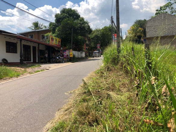 WhatsApp Image 2022 05 14 at 10.05.53 AM