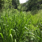 WhatsApp Image 2022 05 14 at 10.29.36 AM